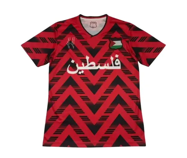 Camiseta Palestina Concepto