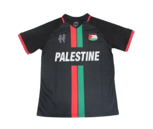 Camiseta Palestina Concepto
